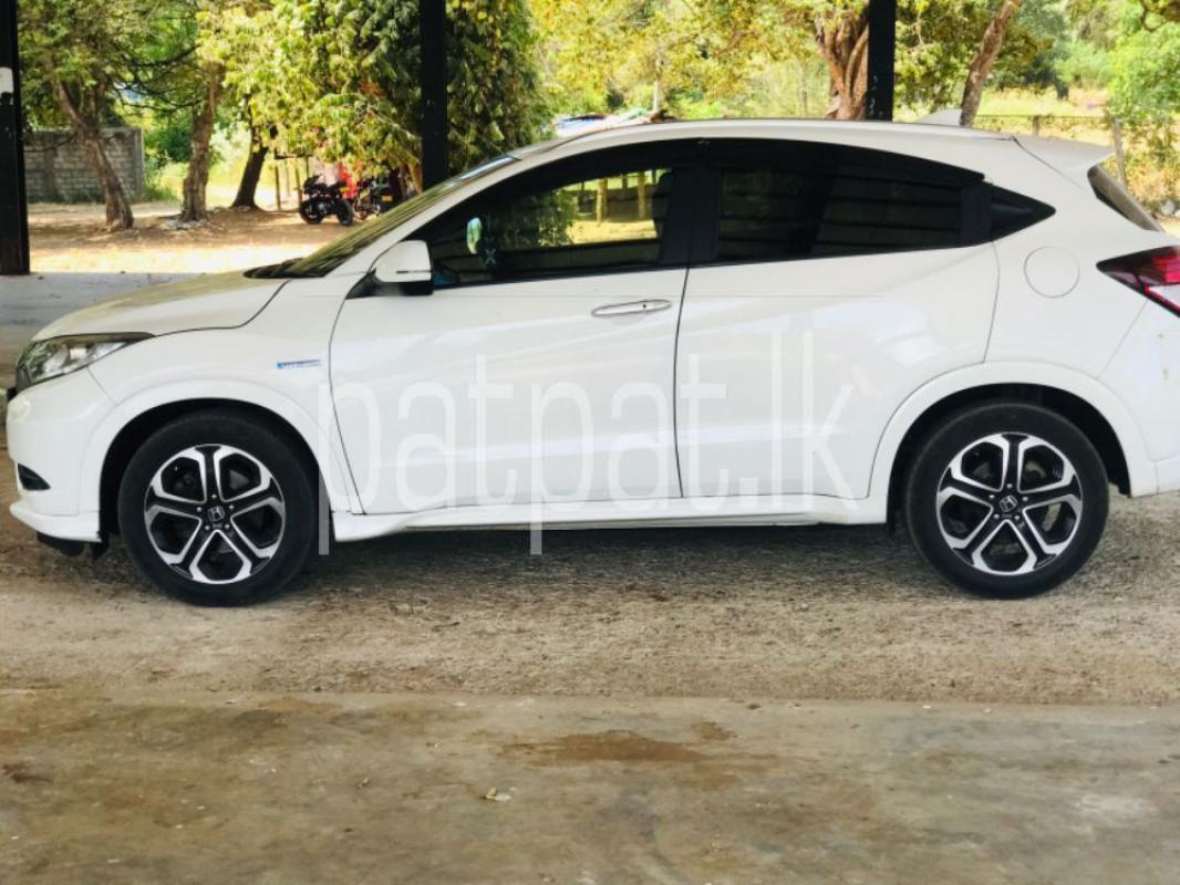 Advertisement image 3