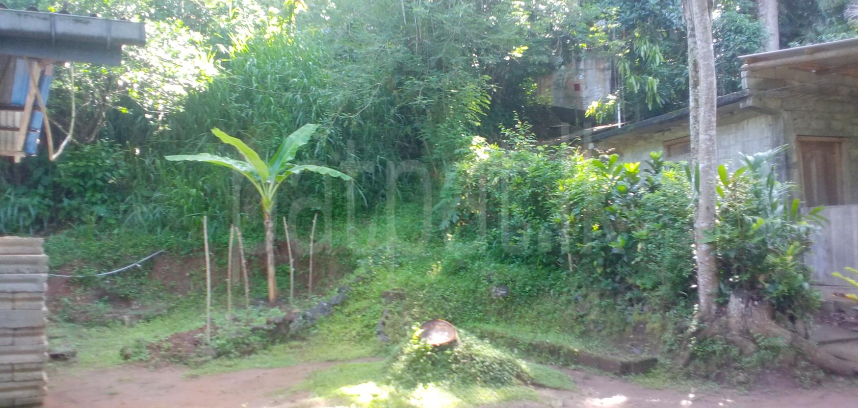 Residential Land for Sale in Menikhinna