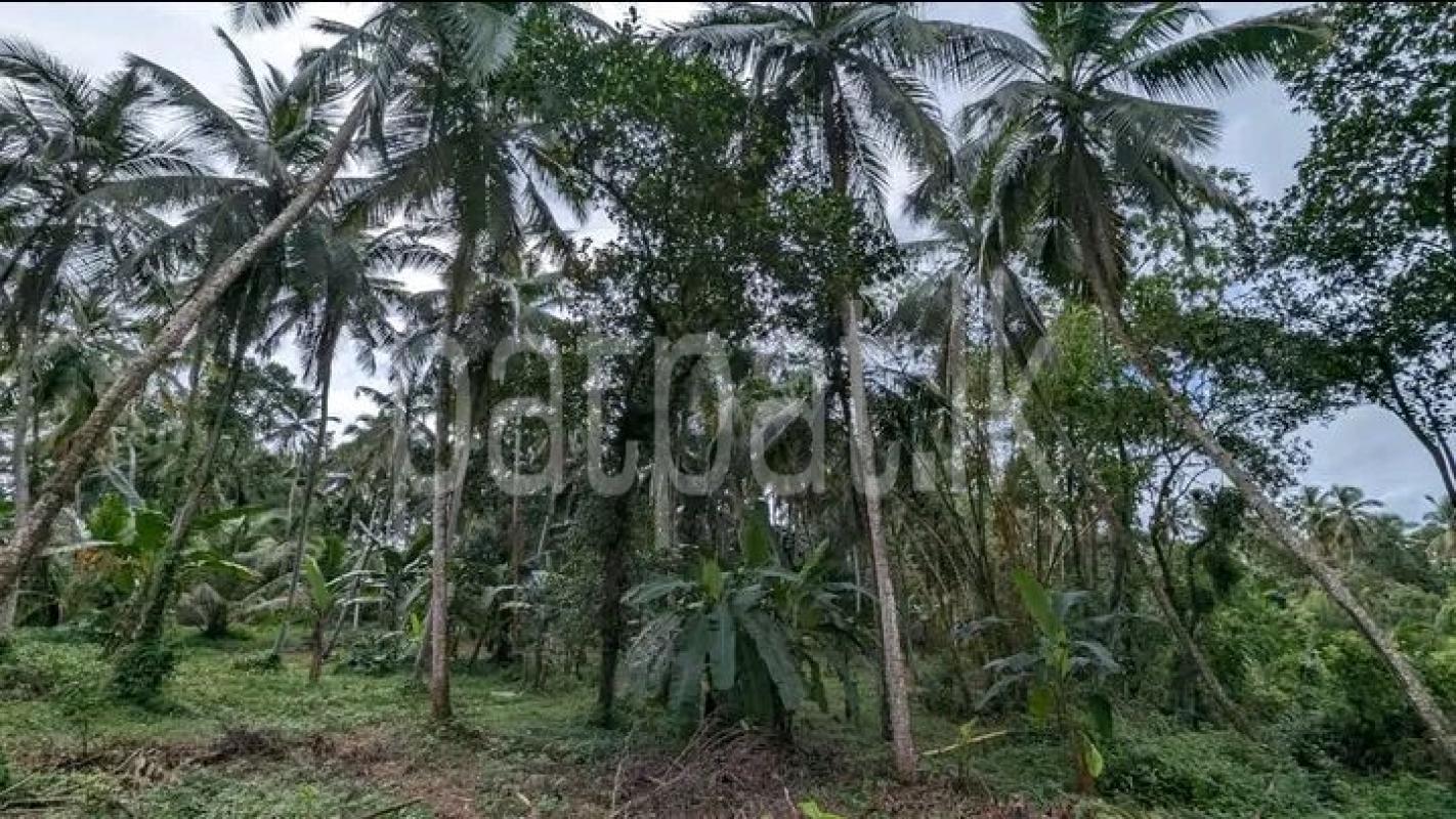 premium-listing-image