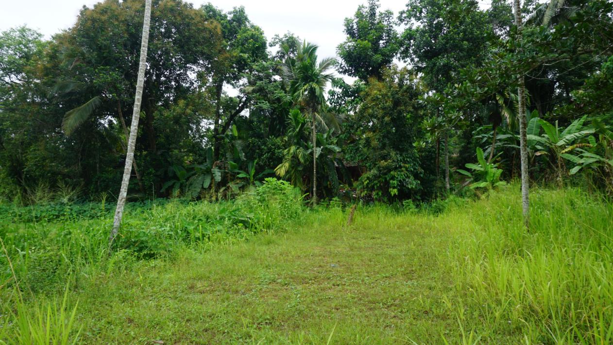 Residential Land for Sale in Pepiliyawala ads-image-1