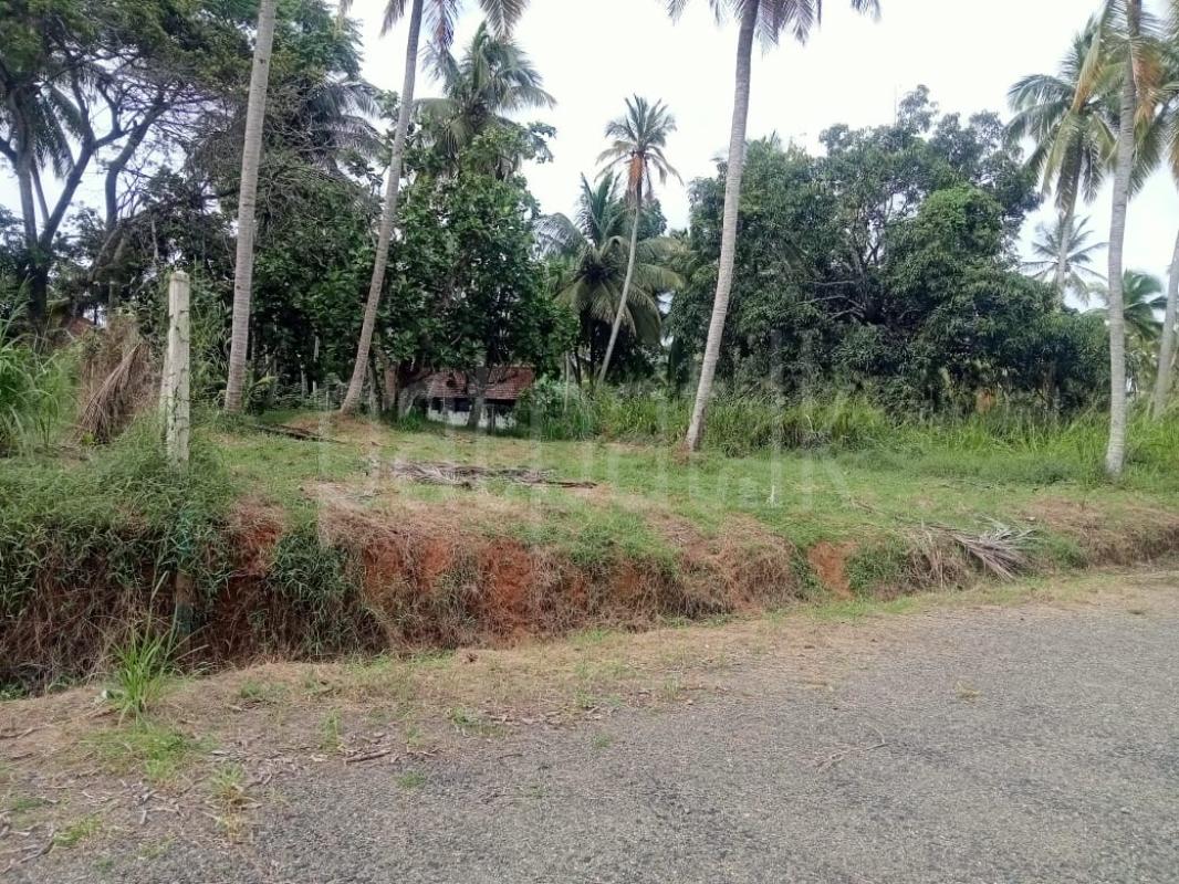 Residential Land for Sale in Kurunegala ads-image-1