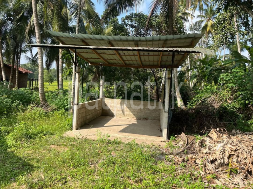 House for Sale in Divulapitiya