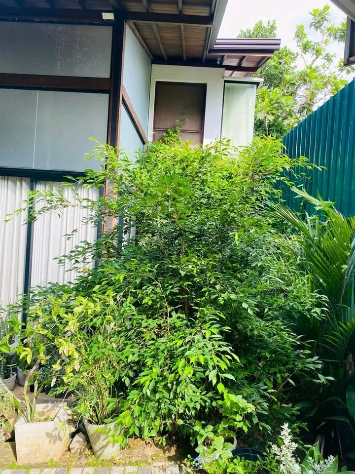 House for Sale in Hokandara