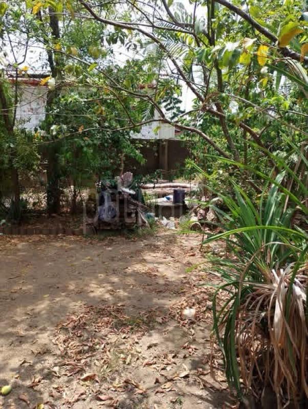 Residential Land for Sale in Kottawa