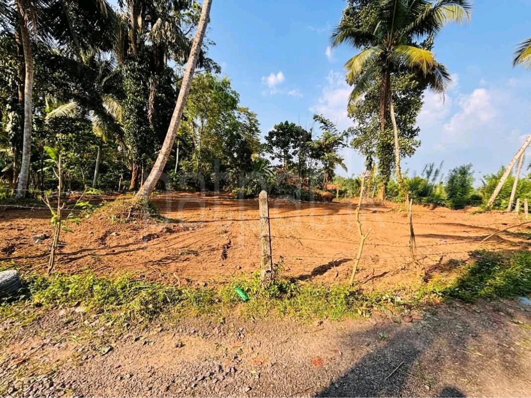 Residential Land for Sale in Padukka ads-image-1