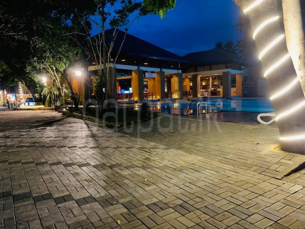 Advertisement image 6