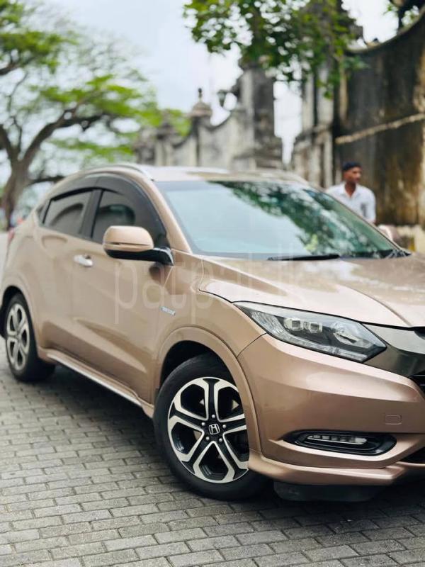 Advertisement image 3