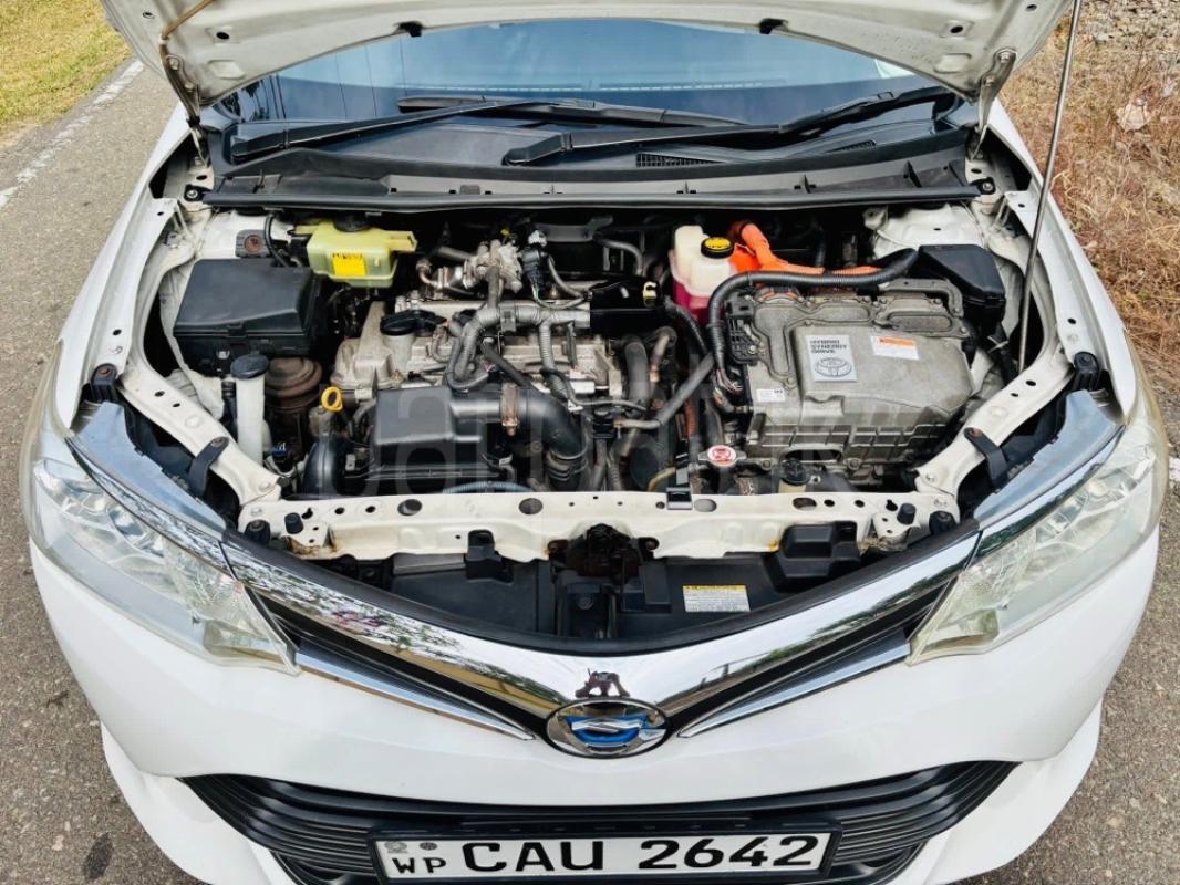 Advertisement image 6