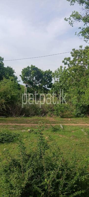 Residential Land for Sale in Kataragama