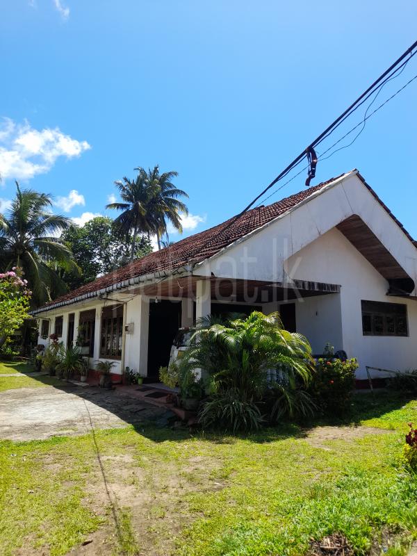 premium-listing-image