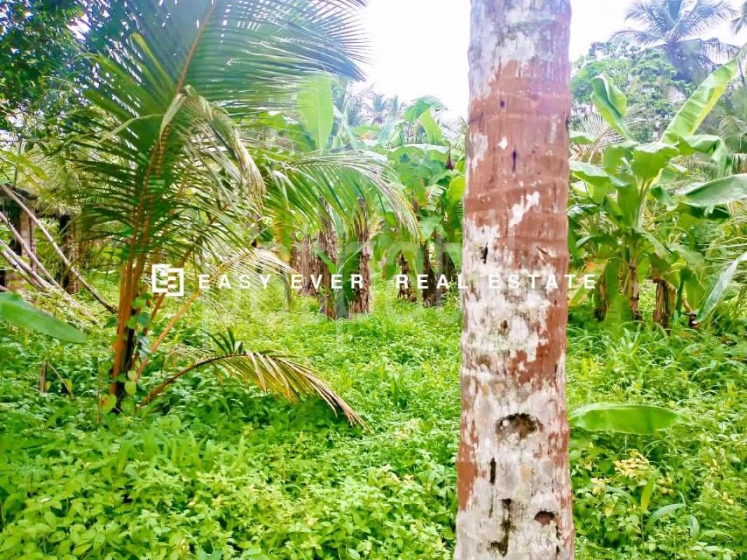Residential Land for Sale in Divulapitiya