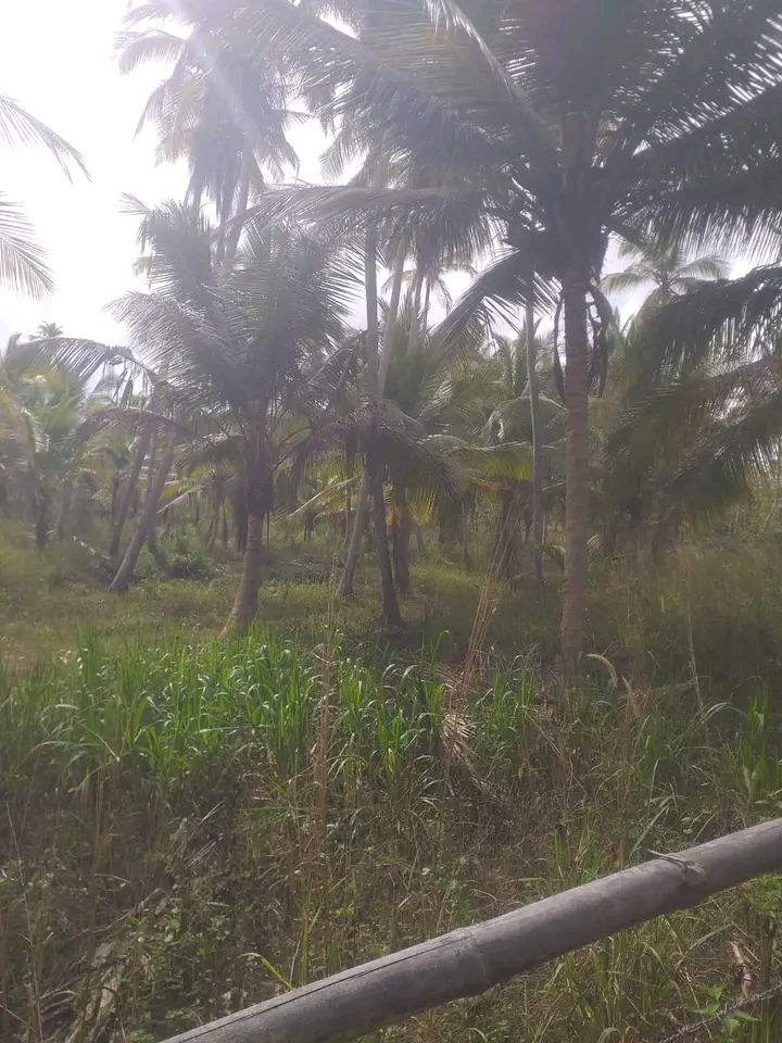 Commercial Land for Sale in Hambantota