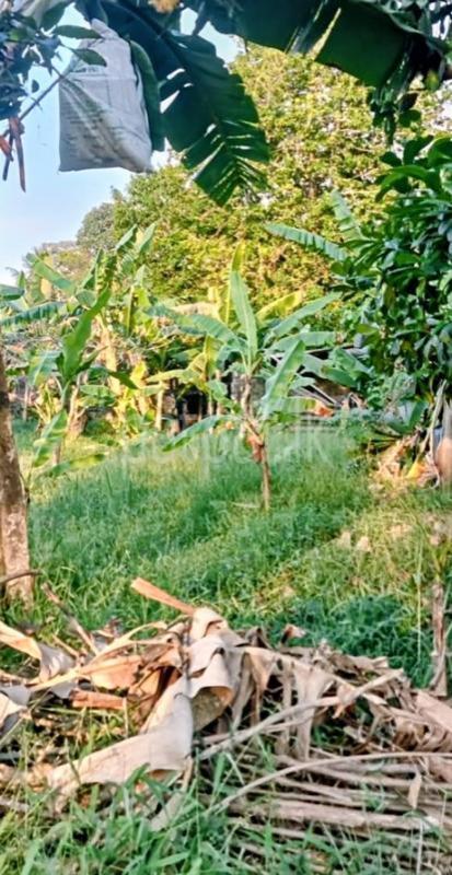 Residential Land for Sale in Kottawa