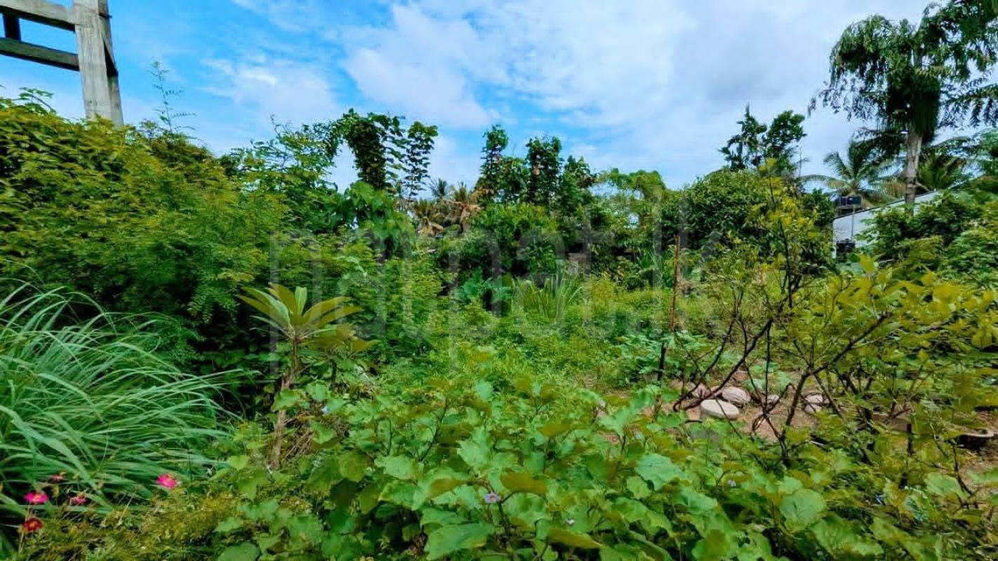 Residential Land for Sale in Kiribathgoda
