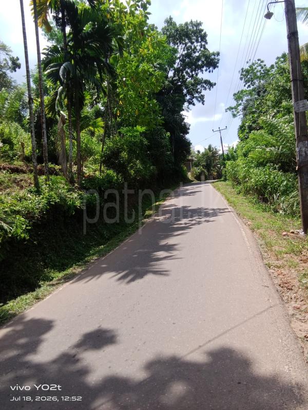 Residential Land for Sale in Kuruwita