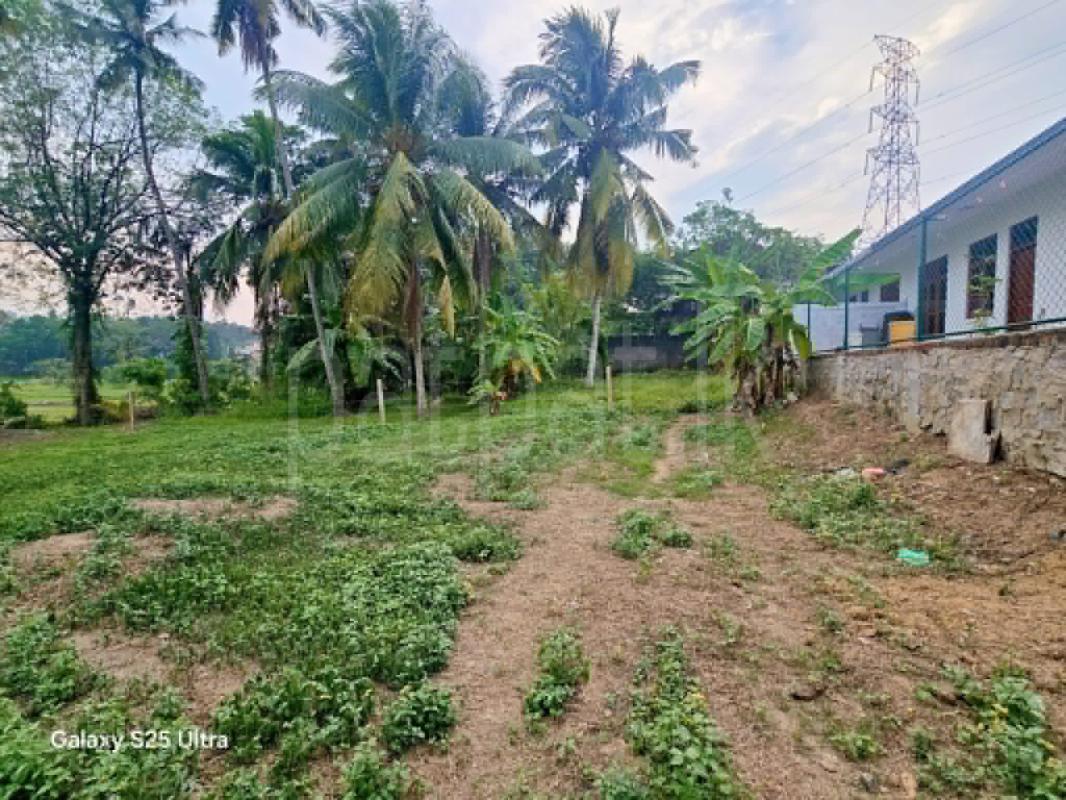 Residential Land for Sale in Sapugaskanda ads-image-1