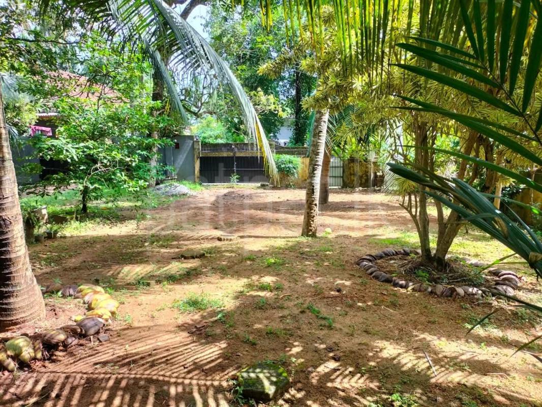 Commercial Land for Sale in Kaduwela