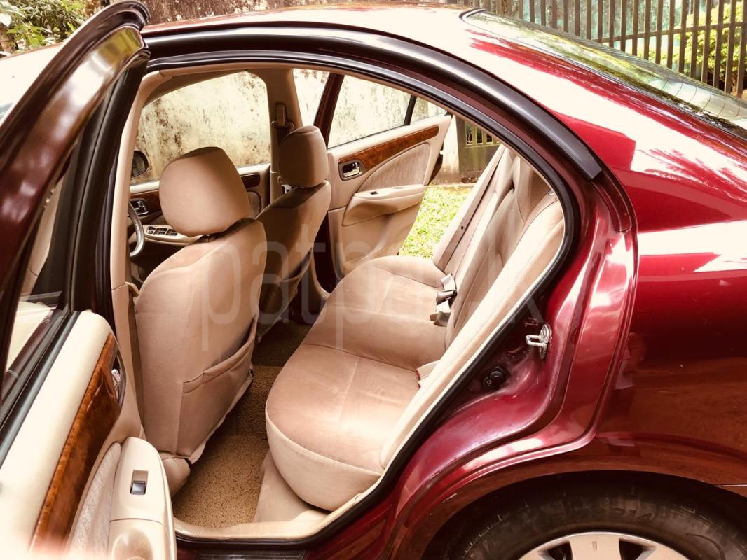 Advertisement image 3