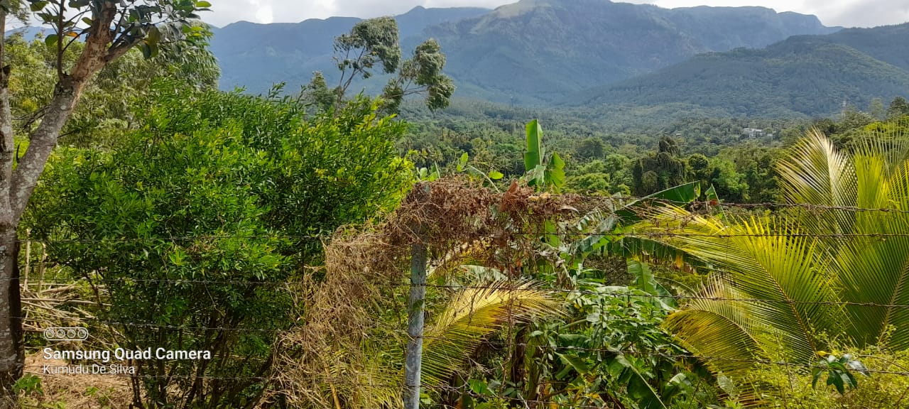 Commercial Land for Sale in Belihuloya