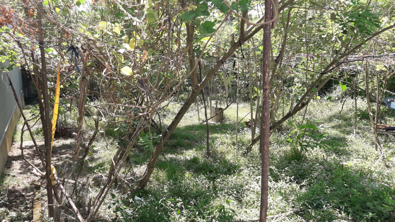 Residential Land for Sale in Boralesgamuwa