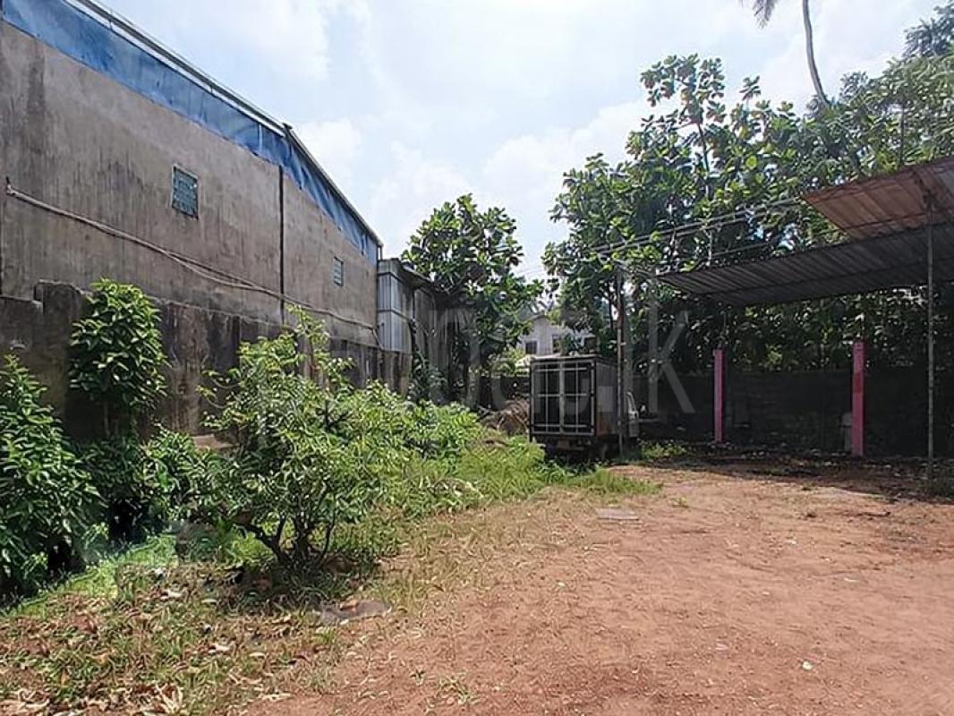 Commercial Land for Sale in Gampaha