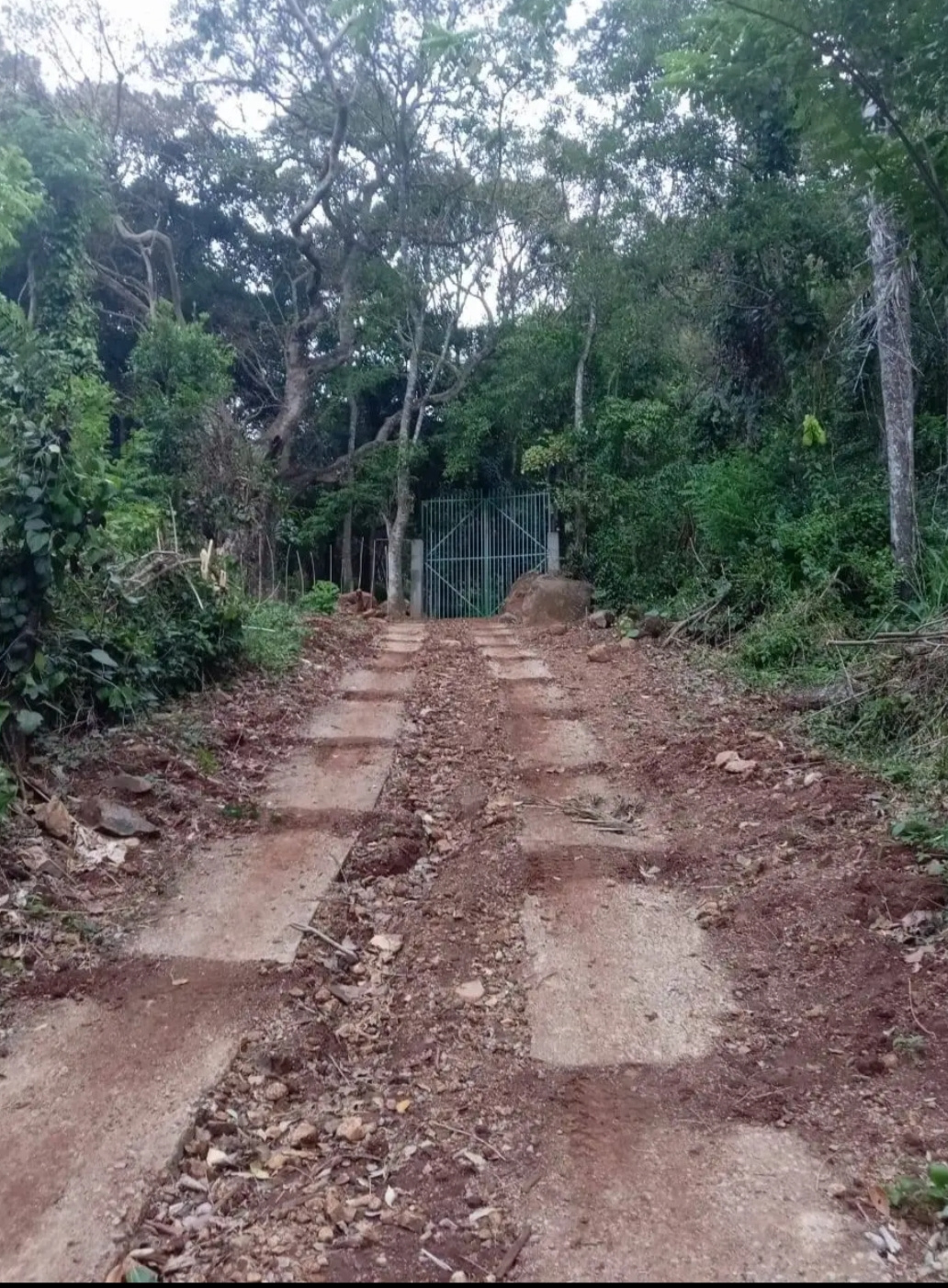 Commercial Land for Sale in Belihuloya