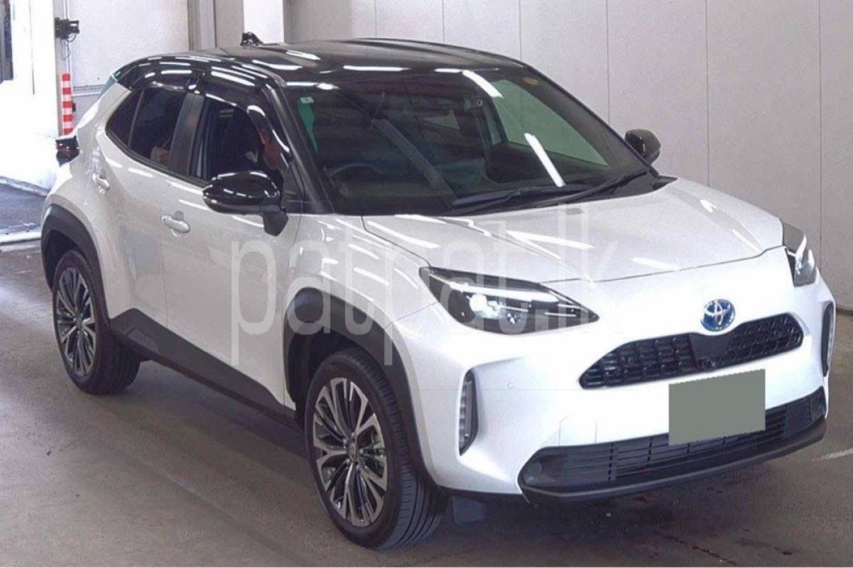 Advertisement image 1