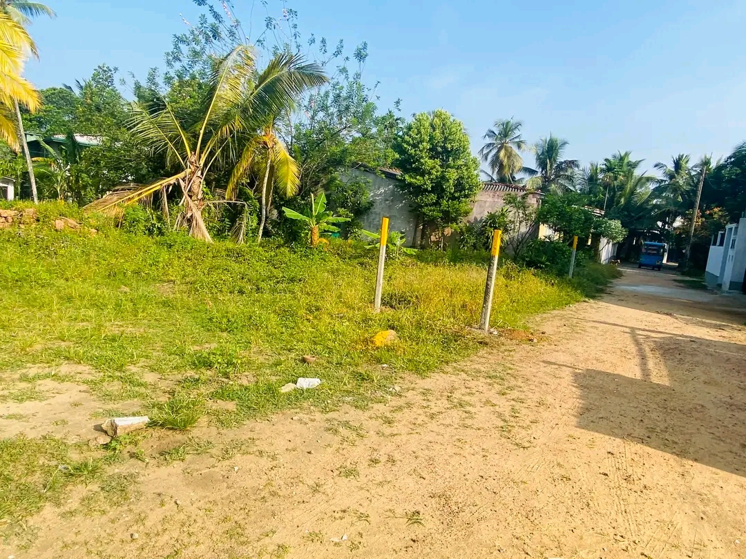 Commercial Land for Sale in Yakkala