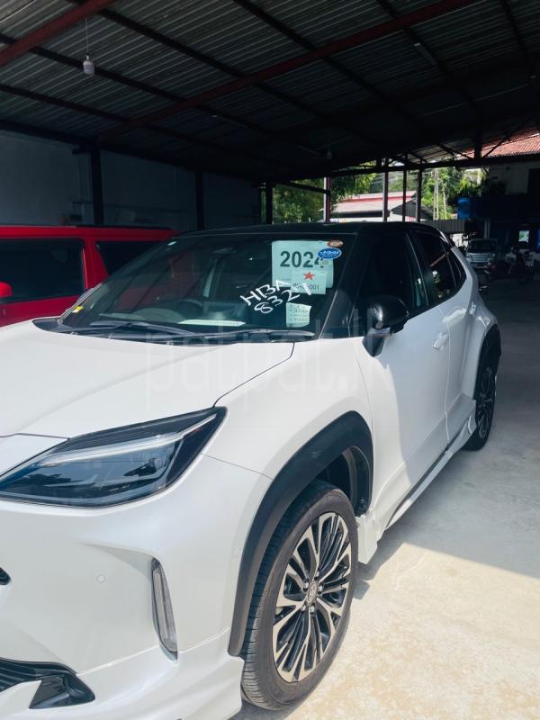 Advertisement image 2