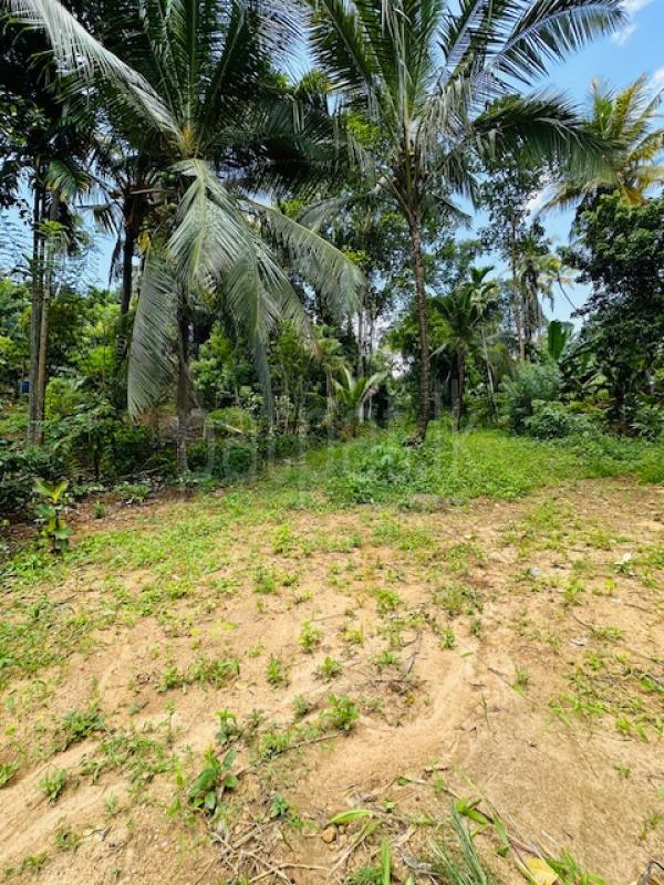 Residential Land for Sale in Hettimulla ads-image-1