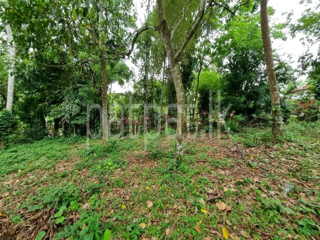 Agricultural Land for Sale in Padukka ads-image-1