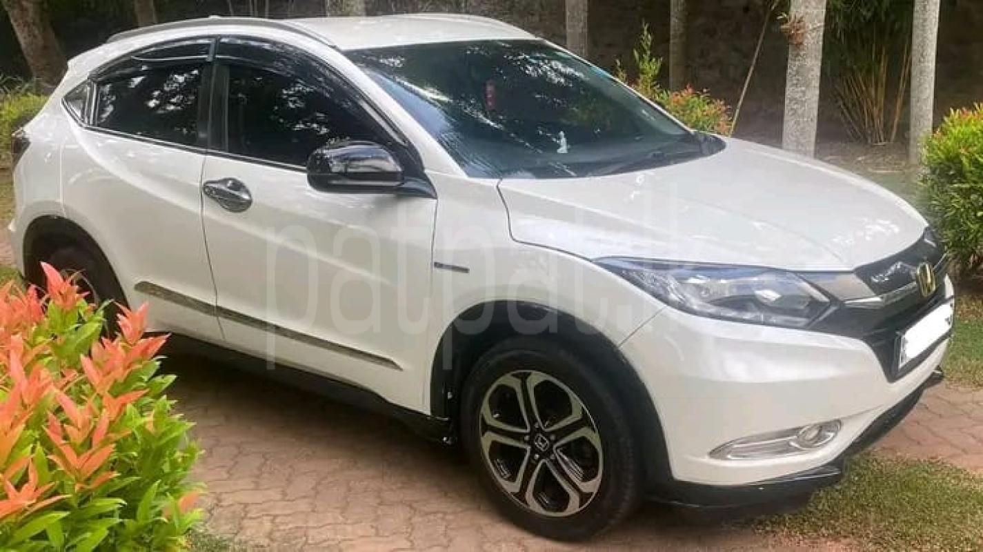 Advertisement image 3