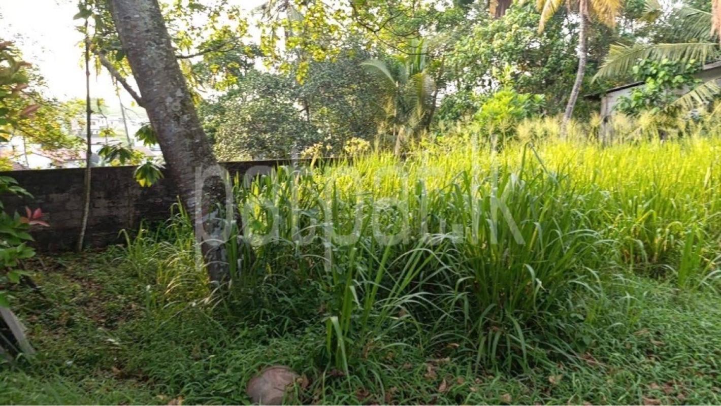 Residential Land for Sale in Malabe