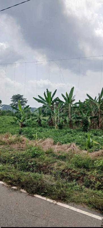 Agricultural Land for Sale in Sella Kataragama