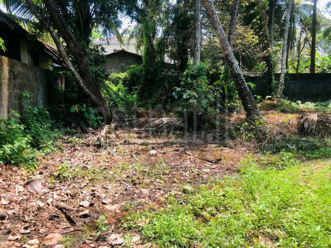 Agricultural Land for Sale in Maggona ads-image-1