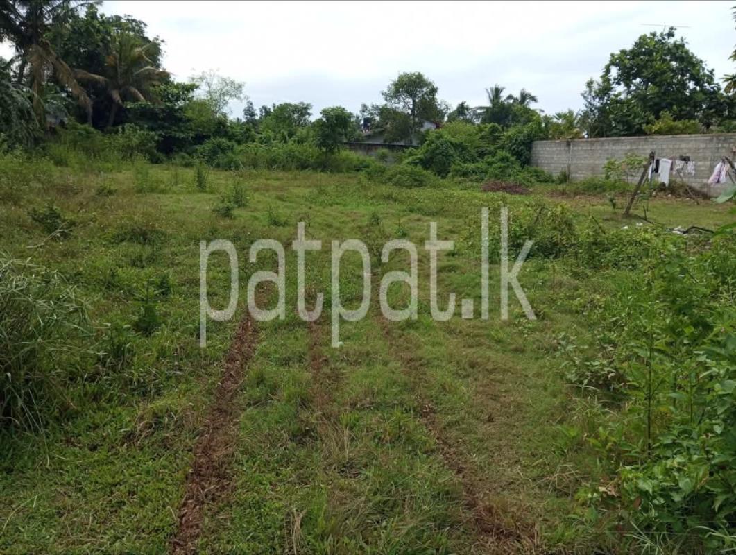 Advertisement image 1