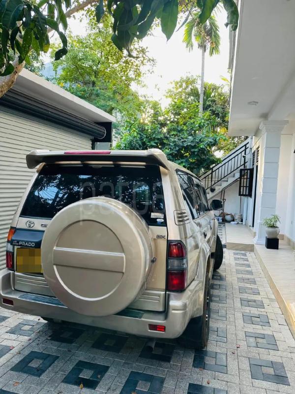 Advertisement image 5