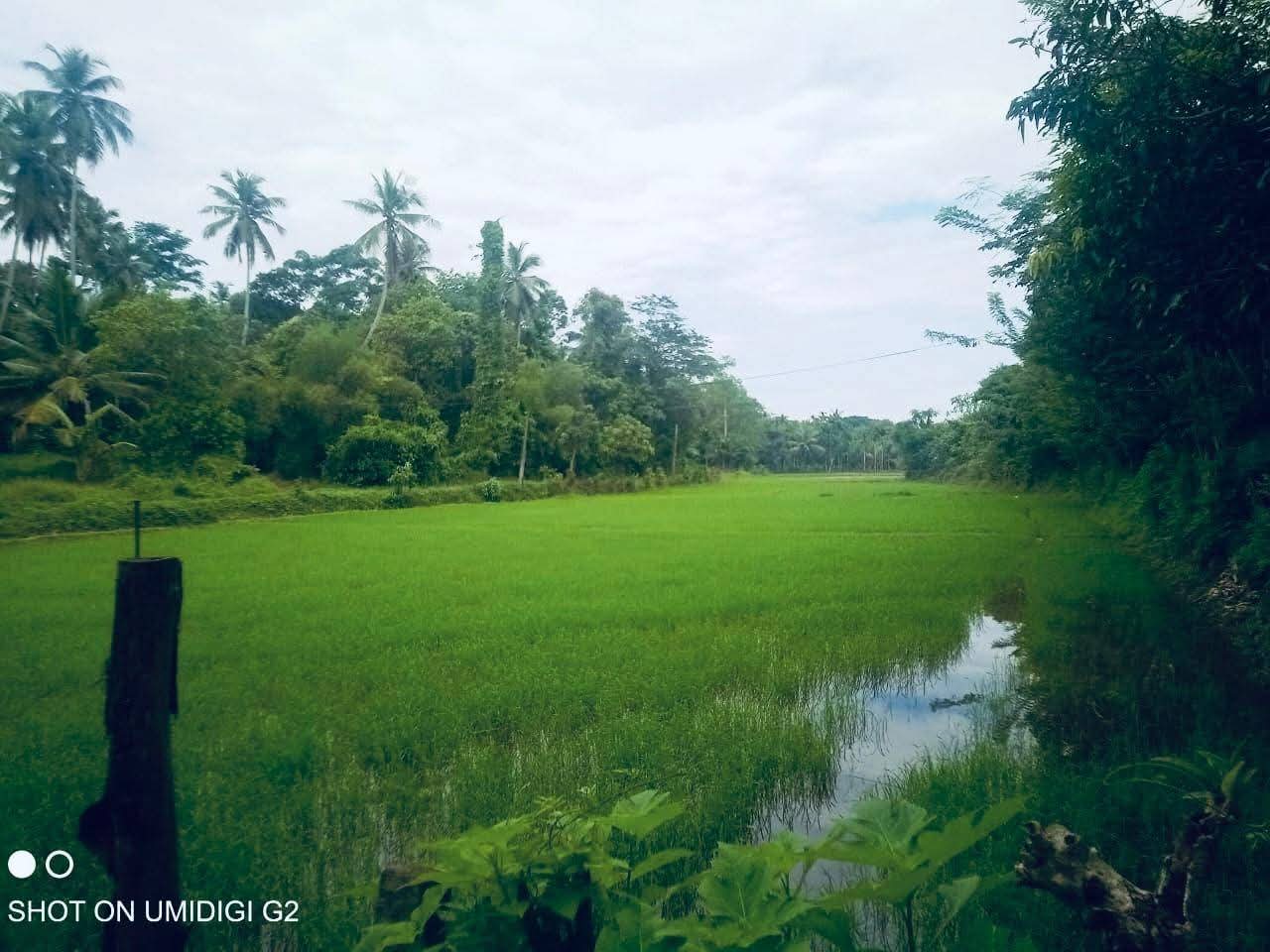 Commercial Land for Sale in Divulapitiya