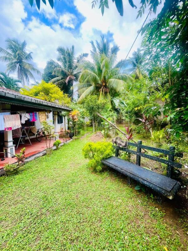House for Sale in Maspotha