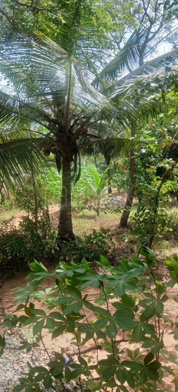 Agricultural Land for Sale in Kataragama