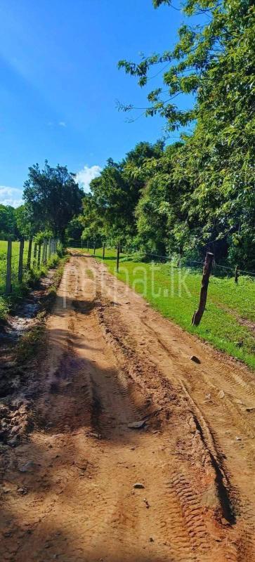 Residential Land for Sale in Kataragama