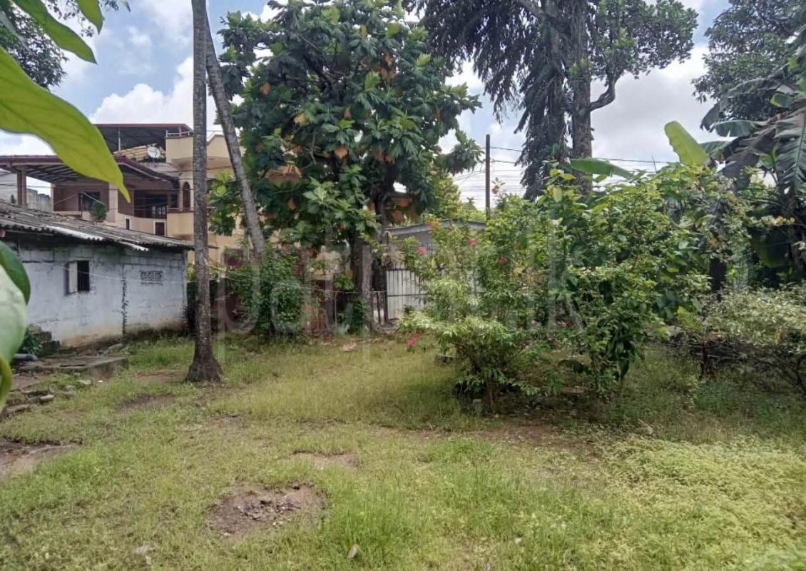 Agricultural Land for Sale in Dematagoda (Colombo 09)