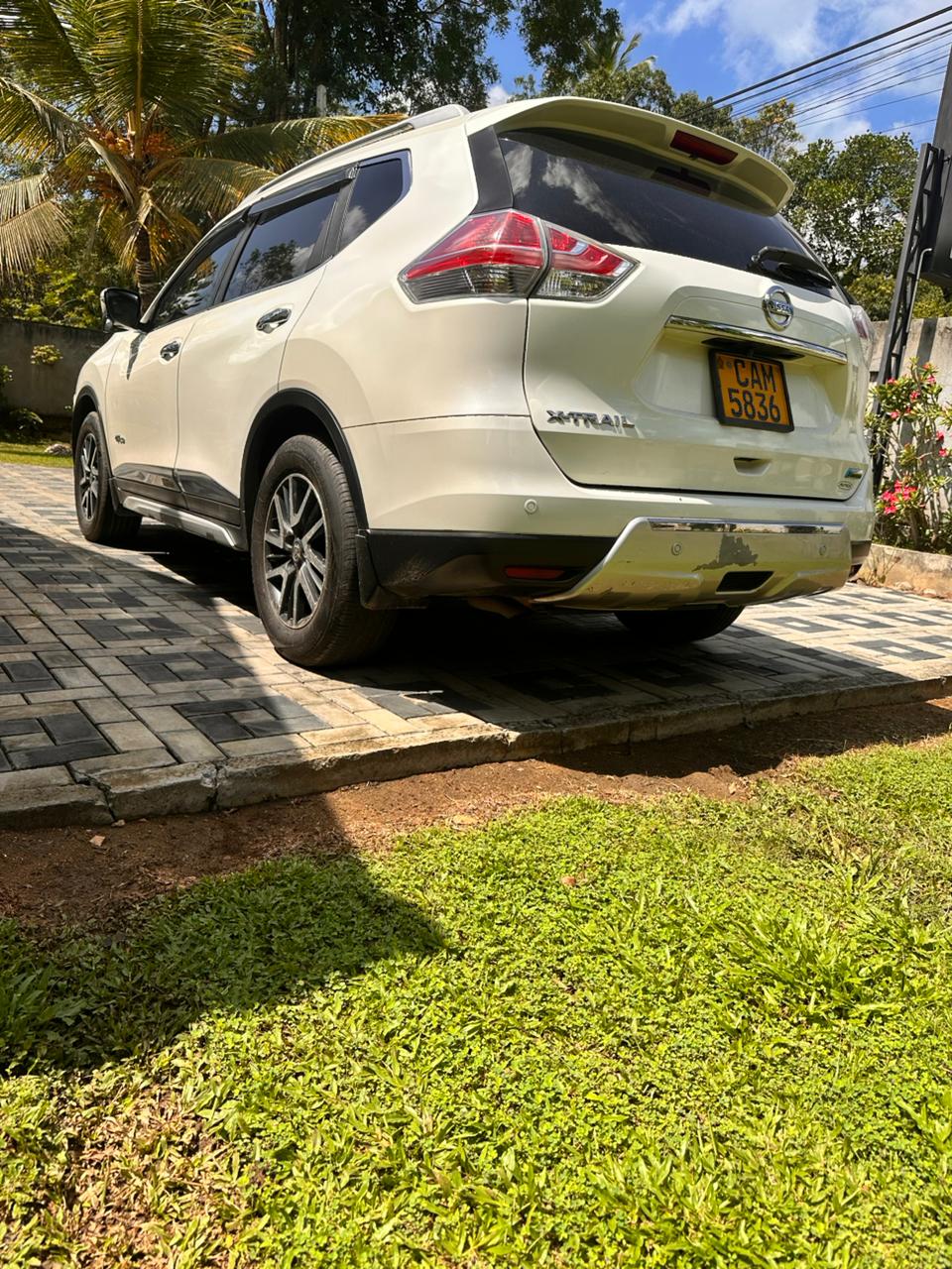 Advertisement image 6