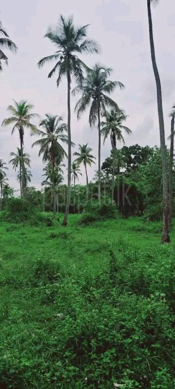 Agricultural Land for Sale in Kurunegala