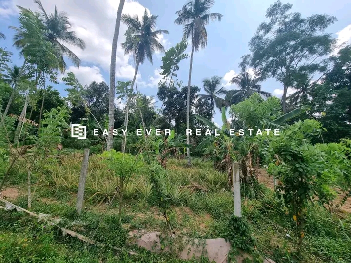 Commercial Land for Sale in Minuwangoda