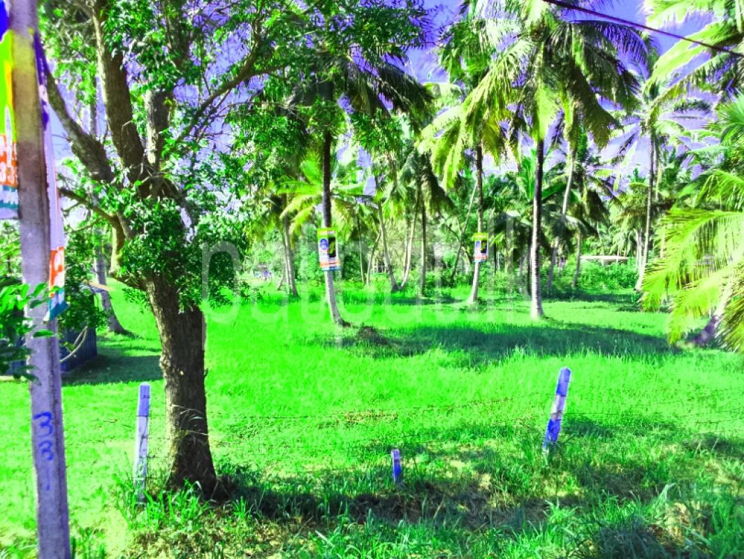 Commercial Land for Sale in Wariyapola