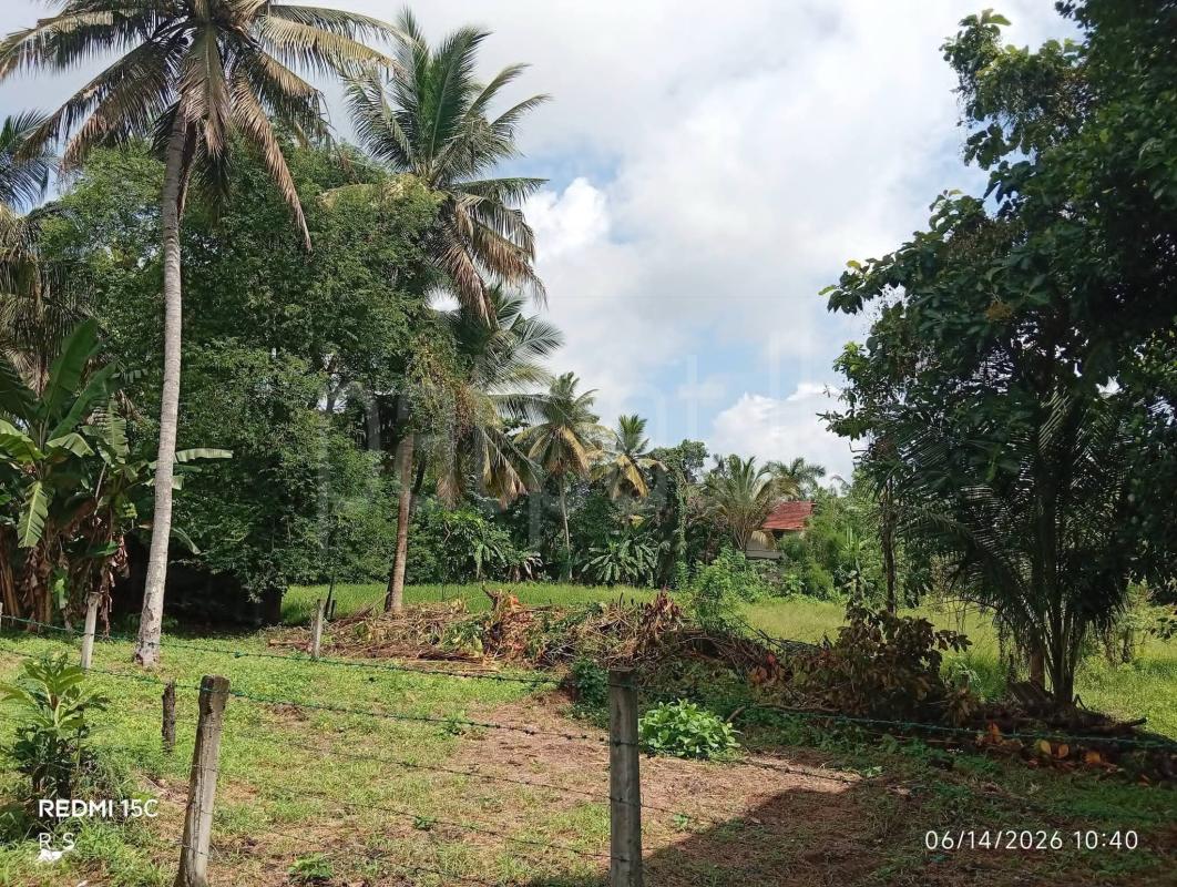 Residential Land for Sale in Kurunegala