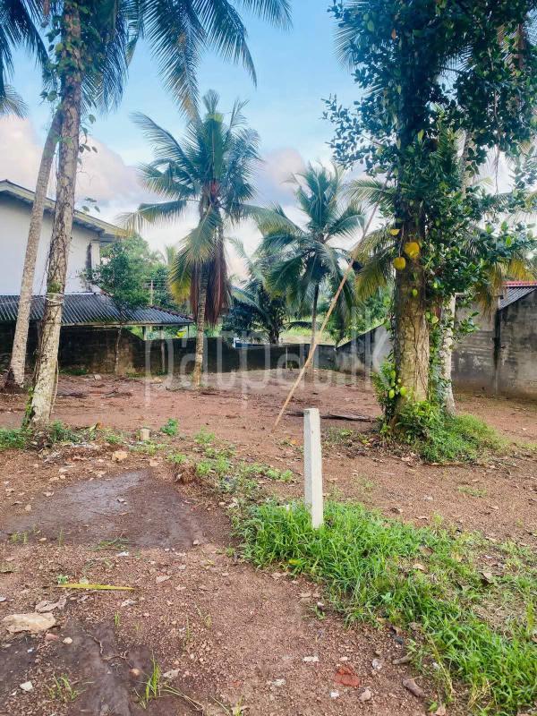 Commercial Land for Sale in Athurugiriya
