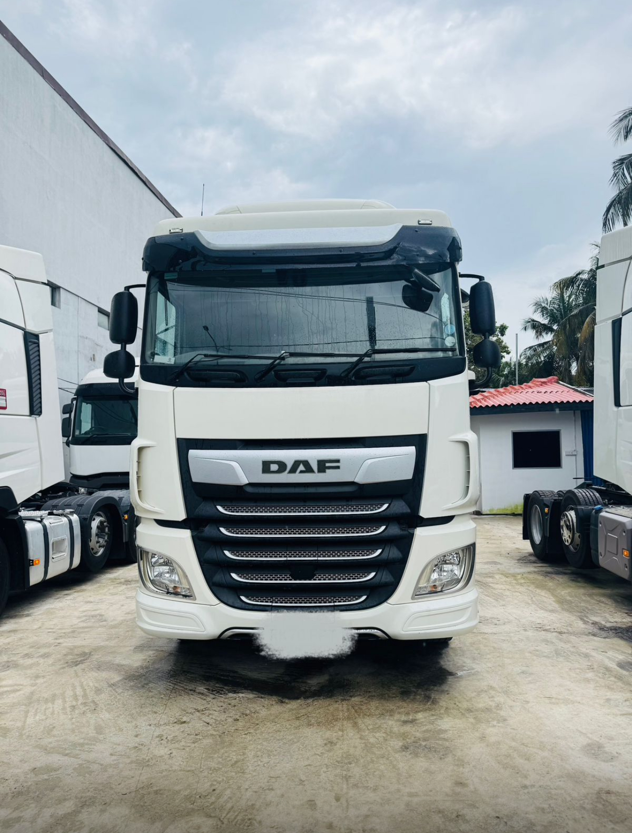 DAF 480 2020 - மறுசீரமைக்கப்பட்டது டிரக் sale in Sri Lanka - patpat.lk
