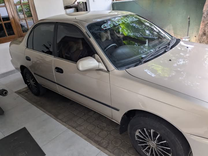 Toyota Corolla 1993 - பயன்படுத்தப்பட்டது கார் sale in Sri Lanka - patpat.lk